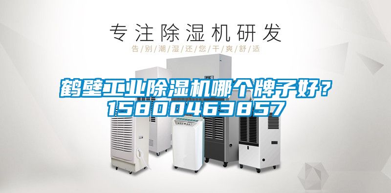 鶴壁工業(yè)除濕機(jī)哪個(gè)牌子好？15800463857
