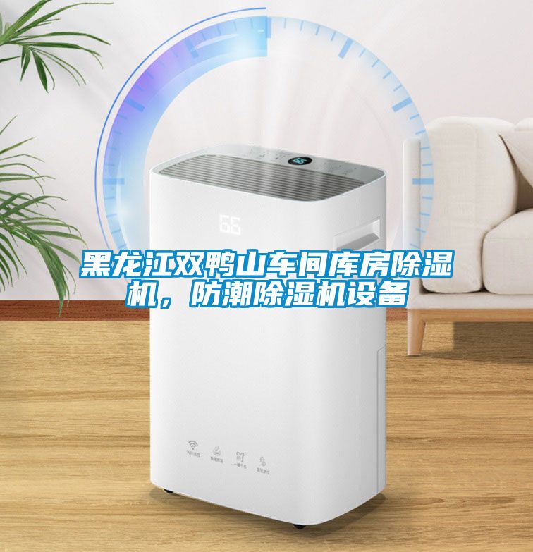 黑龍江雙鴨山車間庫房除濕機，防潮除濕機設(shè)備