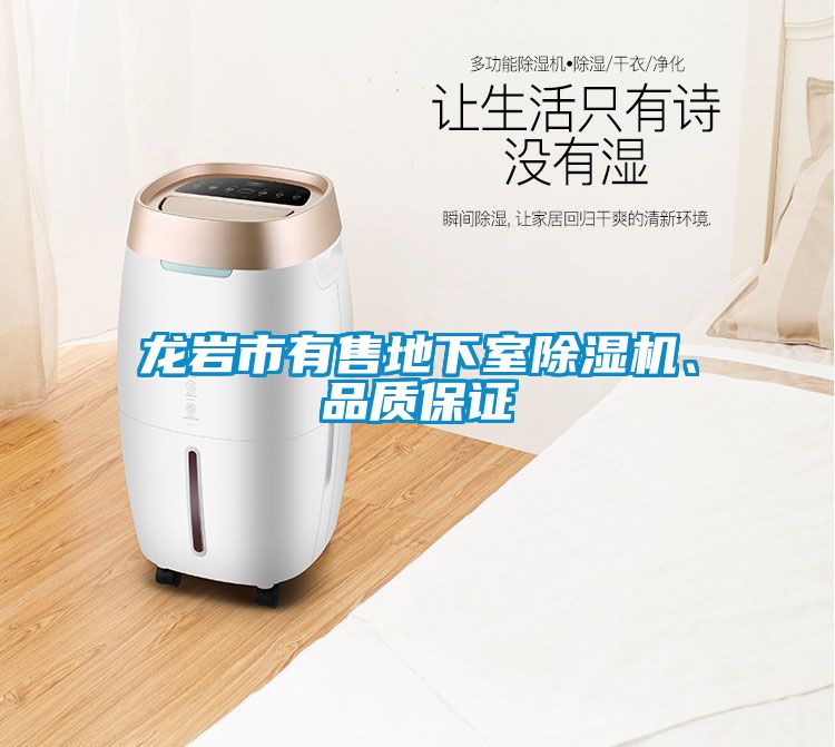 龍巖市有售地下室除濕機、品質(zhì)保證