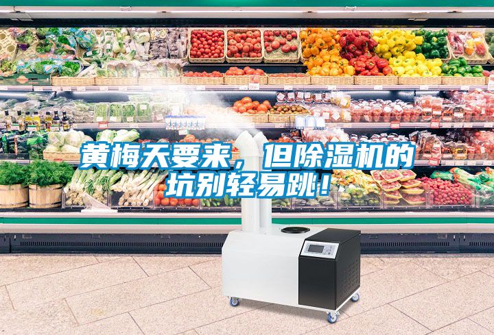 黃梅天要來，但除濕機的坑別輕易跳！