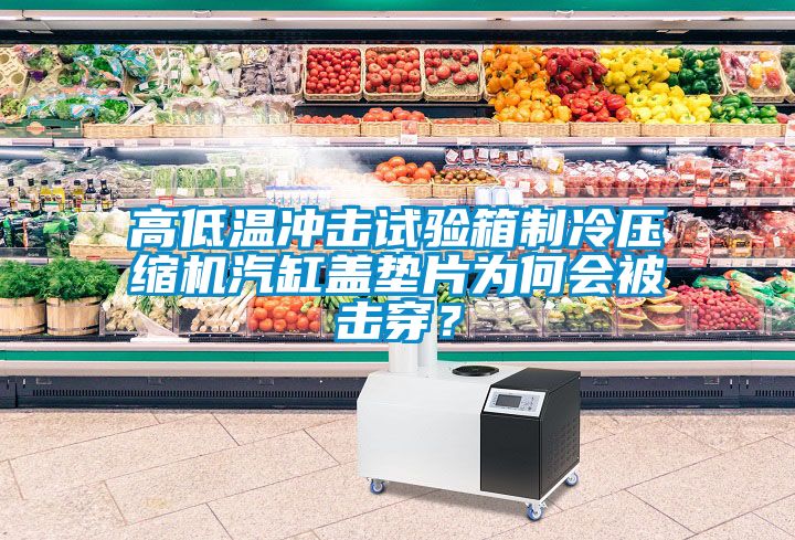 高低溫沖擊試驗(yàn)箱制冷壓縮機(jī)汽缸蓋墊片為何會(huì)被擊穿？