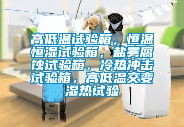 高低溫試驗箱，恒溫恒濕試驗箱，鹽霧腐蝕試驗箱，冷熱沖擊試驗箱，高低溫交變濕熱試驗