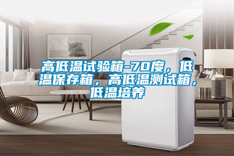 高低溫試驗(yàn)箱-70度，低溫保存箱，高低溫測試箱，低溫培養(yǎng)