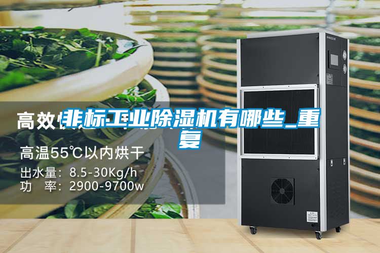 非標(biāo)工業(yè)除濕機有哪些_重復(fù)