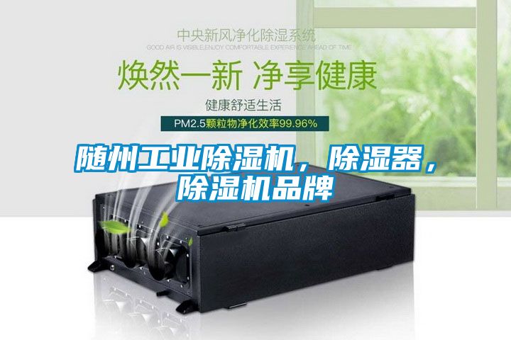 隨州工業(yè)除濕機，除濕器，除濕機品牌