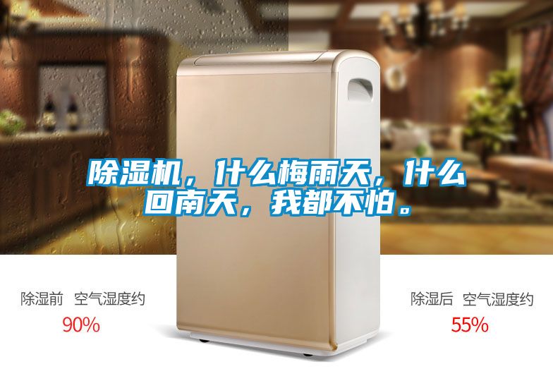 除濕機(jī)，什么梅雨天，什么回南天，我都不怕。
