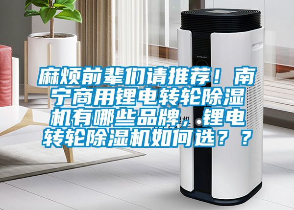 麻煩前輩們請(qǐng)推薦！南寧商用鋰電轉(zhuǎn)輪除濕機(jī)有哪些品牌，鋰電轉(zhuǎn)輪除濕機(jī)如何選？？