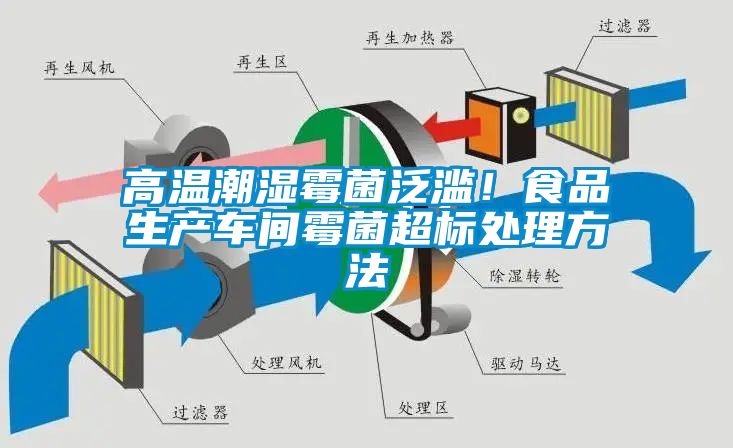 高溫潮濕霉菌泛濫！食品生產(chǎn)車(chē)間霉菌超標(biāo)處理方法