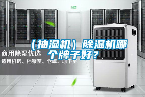 （抽濕機(jī)）除濕機(jī)哪個牌子好？