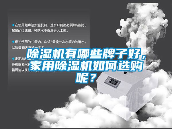 除濕機(jī)有哪些牌子好，家用除濕機(jī)如何選購呢？