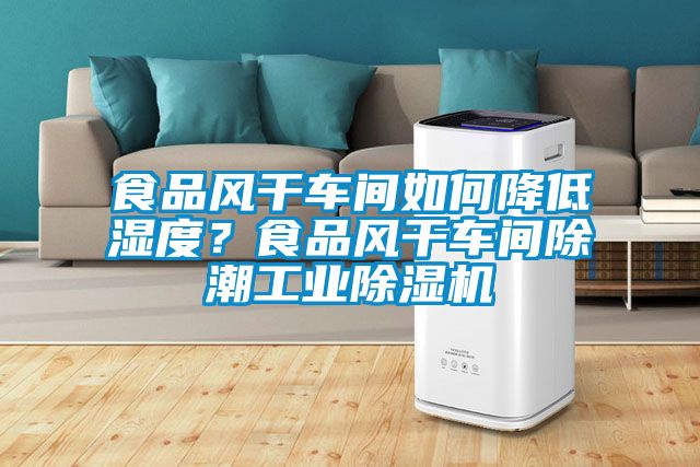 食品風(fēng)干車間如何降低濕度？食品風(fēng)干車間除潮工業(yè)除濕機(jī)