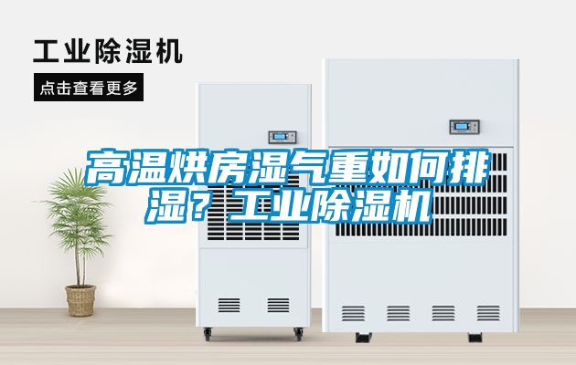 高溫烘房濕氣重如何排濕？工業(yè)除濕機