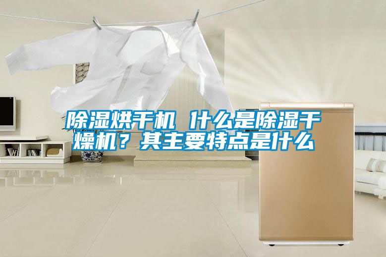 除濕烘干機(jī) 什么是除濕干燥機(jī)？其主要特點(diǎn)是什么