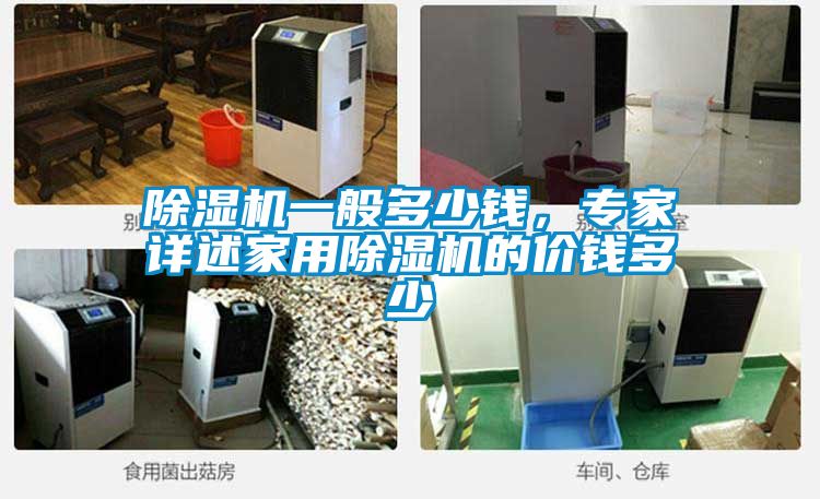 除濕機(jī)一般多少錢，專家詳述家用除濕機(jī)的價(jià)錢多少