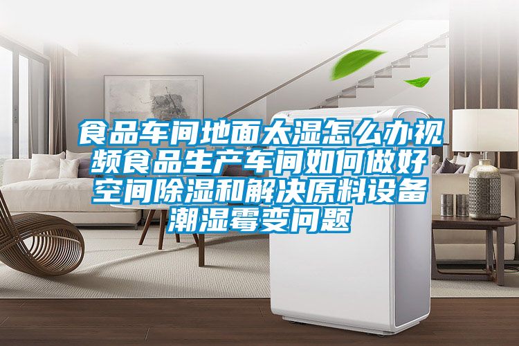 食品車間地面太濕怎么辦視頻食品生產(chǎn)車間如何做好空間除濕和解決原料設備潮濕霉變問題