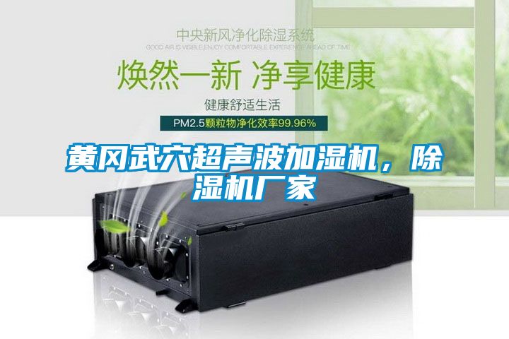 黃岡武穴超聲波加濕機(jī)，除濕機(jī)廠家